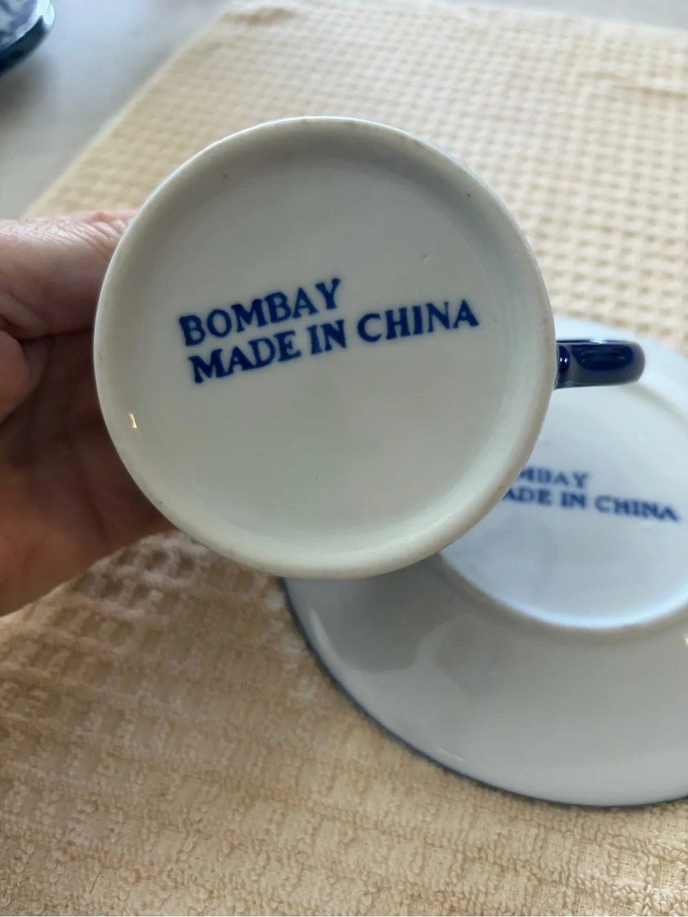 Bombay Blue and White Decorative Cup and Saucer